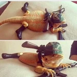 Meet your Posher, Brian